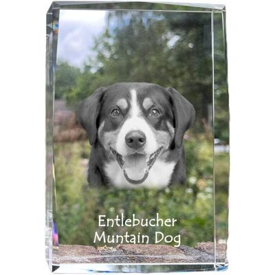 ART Entlebucher - Kryształ Ze Zdjęciem Psa, Zdjęcie W Szkle, Nowoczesna Ekspozy ART Entlebucher - Kryształ Ze Zdjęciem Psa, Zdjęcie W Szkle, Nowoczesna Ekspozy