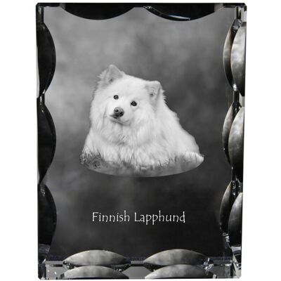 ART Fiński Lapphund, Finnish Lapphund - Kryształ Ze Zdjęciem Psa, Szklana Statu ART Fiński Lapphund, Finnish Lapphund - Kryształ Ze Zdjęciem Psa, Szklana Statu
