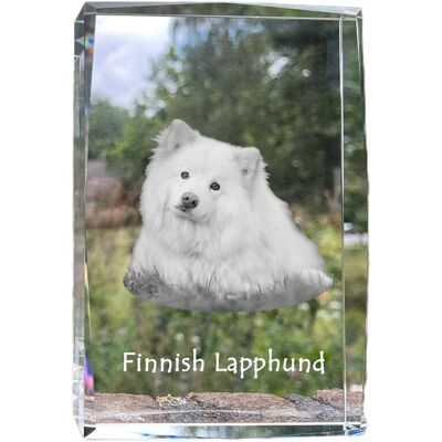 ART Fiński Lapphund, Finnish Lapphund - Kryształ Ze Zdjęciem Psa, Zdjęcie W Szk ART Fiński Lapphund, Finnish Lapphund - Kryształ Ze Zdjęciem Psa, Zdjęcie W Szk