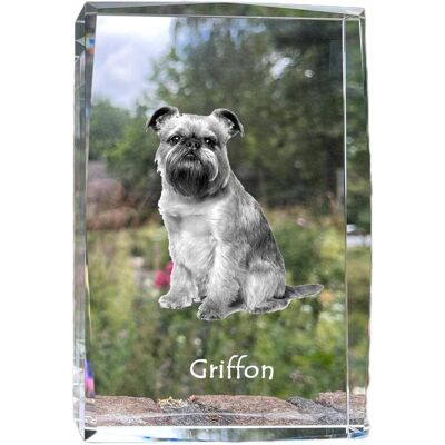 Gryfonik brukselski, Griffon bruxellois - kryształ ze zdjęciem psa, zdjęcie w szkle, nowoczesna ekspozycja zdjęcia marki Art-Dog Gryfonik brukselski, Griffon bruxellois - kryształ ze zdjęciem psa, zdjęcie w szkle, nowoczesna ekspozycja zdjęcia marki Art-Dog