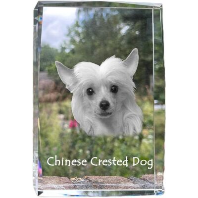 Grzywacz Chiński - kryształ ze zdjęciem psa, zdjęcie w szkle, nowoczesna ekspozycja zdjęcia marki Art-Dog Grzywacz Chiński - kryształ ze zdjęciem psa, zdjęcie w szkle, nowoczesna ekspozycja zdjęcia marki Art-Dog