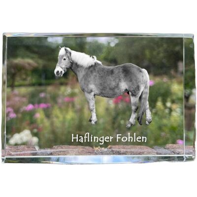Haflinger Fohlen - kryształ ze zdjęciem konia, zdjęcie w szkle, nowoczesna ekspozycja zdjęcia marki Art-Dog Haflinger Fohlen - kryształ ze zdjęciem konia, zdjęcie w szkle, nowoczesna ekspozycja zdjęcia marki Art-Dog