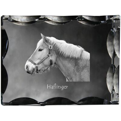 Haflinger - kryształ ze zdjęciem konia, szklana statuetka ze zdjęciem, wyjątkowa ramka ze zdjęciem marki Art-Dog Haflinger - kryształ ze zdjęciem konia, szklana statuetka ze zdjęciem, wyjątkowa ramka ze zdjęciem marki Art-Dog