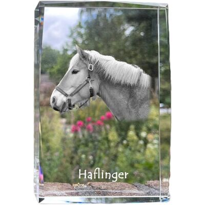 Haflinger - kryształ ze zdjęciem konia, zdjęcie w szkle, nowoczesna ekspozycja zdjęcia marki Art-Dog Haflinger - kryształ ze zdjęciem konia, zdjęcie w szkle, nowoczesna ekspozycja zdjęcia marki Art-Dog