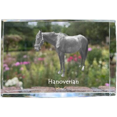 Hanowerski - kryształ ze zdjęciem konia, zdjęcie w szkle, nowoczesna ekspozycja zdjęcia marki Art-Dog Hanowerski - kryształ ze zdjęciem konia, zdjęcie w szkle, nowoczesna ekspozycja zdjęcia marki Art-Dog