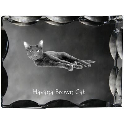 Hawana Brązowa - kryształ ze zdjęciem kota, szklana statuetka ze zdjęciem, wyjątkowa ramka ze zdjęciem marki Art-Dog Hawana Brązowa - kryształ ze zdjęciem kota, szklana statuetka ze zdjęciem, wyjątkowa ramka ze zdjęciem marki Art-Dog