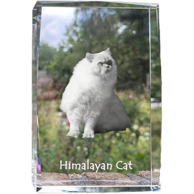 Himalajski - kryształ ze zdjęciem kota, zdjęcie w szkle, nowoczesna ekspozycja zdjęcia marki Art-Dog Himalajski - kryształ ze zdjęciem kota, zdjęcie w szkle, nowoczesna ekspozycja zdjęcia marki Art-Dog