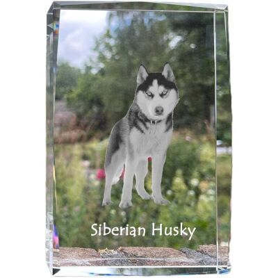 Husky syberyjski, Siberian Husky - kryształ ze zdjęciem psa, zdjęcie w szkle, nowoczesna ekspozycja zdjęcia marki Art-Dog Husky syberyjski, Siberian Husky - kryształ ze zdjęciem psa, zdjęcie w szkle, nowoczesna ekspozycja zdjęcia marki Art-Dog