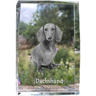 Jamnik - kryształ ze zdjęciem psa, zdjęcie w szkle, nowoczesna ekspozycja zdjęcia marki Art-Dog Jamnik - kryształ ze zdjęciem psa, zdjęcie w szkle, nowoczesna ekspozycja zdjęcia marki Art-Dog