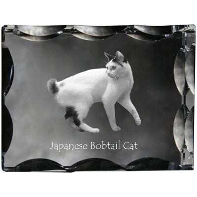 Japoński bobtail - kryształ ze zdjęciem kota, szklana statuetka ze zdjęciem, wyjątkowa ramka ze zdjęciem marki Art-Dog Japoński bobtail - kryształ ze zdjęciem kota, szklana statuetka ze zdjęciem, wyjątkowa ramka ze zdjęciem marki Art-Dog