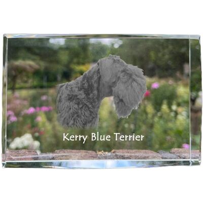 Kerry Blue Terrier, Irish Blue Terrier - kryształ ze zdjęciem psa, zdjęcie w szkle, nowoczesna ekspozycja zdjęcia marki Art-Dog Kerry Blue Terrier, Irish Blue Terrier - kryształ ze zdjęciem psa, zdjęcie w szkle, nowoczesna ekspozycja zdjęcia marki Art-Dog
