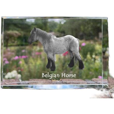 Koń belgijski - kryształ ze zdjęciem konia, zdjęcie w szkle, nowoczesna ekspozycja zdjęcia marki Art-Dog Koń belgijski - kryształ ze zdjęciem konia, zdjęcie w szkle, nowoczesna ekspozycja zdjęcia marki Art-Dog