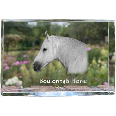 Koń Boulonnais - kryształ ze zdjęciem konia, zdjęcie w szkle, nowoczesna ekspozycja zdjęcia marki Art-Dog Koń Boulonnais - kryształ ze zdjęciem konia, zdjęcie w szkle, nowoczesna ekspozycja zdjęcia marki Art-Dog