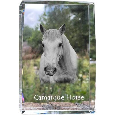 Koń Camargue - kryształ ze zdjęciem konia, zdjęcie w szkle, nowoczesna ekspozycja zdjęcia marki Art-Dog Koń Camargue - kryształ ze zdjęciem konia, zdjęcie w szkle, nowoczesna ekspozycja zdjęcia marki Art-Dog