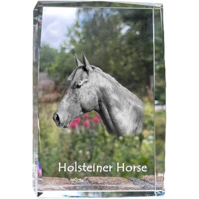 Koń holsztyński - kryształ ze zdjęciem konia, zdjęcie w szkle, nowoczesna ekspozycja zdjęcia marki Art-Dog Koń holsztyński - kryształ ze zdjęciem konia, zdjęcie w szkle, nowoczesna ekspozycja zdjęcia marki Art-Dog