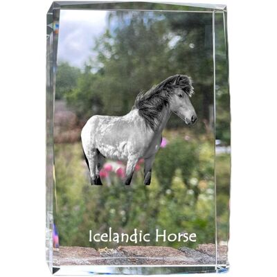 Koń islandzki - kryształ ze zdjęciem konia, zdjęcie w szkle, nowoczesna ekspozycja zdjęcia marki Art-Dog Koń islandzki - kryształ ze zdjęciem konia, zdjęcie w szkle, nowoczesna ekspozycja zdjęcia marki Art-Dog