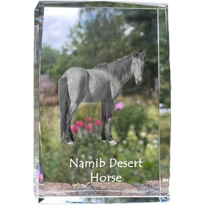 Koń pustynny Namib - kryształ ze zdjęciem konia, zdjęcie w szkle, nowoczesna ekspozycja zdjęcia marki Art-Dog Koń pustynny Namib - kryształ ze zdjęciem konia, zdjęcie w szkle, nowoczesna ekspozycja zdjęcia marki Art-Dog