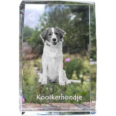Kooikerhondje - kryształ ze zdjęciem psa, zdjęcie w szkle, nowoczesna ekspozycja zdjęcia marki Art-Dog Kooikerhondje - kryształ ze zdjęciem psa, zdjęcie w szkle, nowoczesna ekspozycja zdjęcia marki Art-Dog