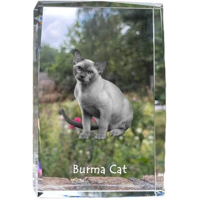 Kot burmański - kryształ ze zdjęciem kota, zdjęcie w szkle, nowoczesna ekspozycja zdjęcia marki Art-Dog Kot burmański - kryształ ze zdjęciem kota, zdjęcie w szkle, nowoczesna ekspozycja zdjęcia marki Art-Dog