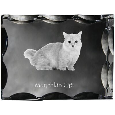 Kot Munchkin - kryształ ze zdjęciem kota, szklana statuetka ze zdjęciem, wyjątkowa ramka ze zdjęciem marki Art-Dog Kot Munchkin - kryształ ze zdjęciem kota, szklana statuetka ze zdjęciem, wyjątkowa ramka ze zdjęciem marki Art-Dog