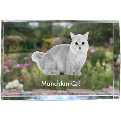 Kot Munchkin - kryształ ze zdjęciem kota, zdjęcie w szkle, nowoczesna ekspozycja zdjęcia marki Art-Dog Kot Munchkin - kryształ ze zdjęciem kota, zdjęcie w szkle, nowoczesna ekspozycja zdjęcia marki Art-Dog