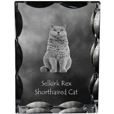 Kot Selkirk Rex krótkowłosy - kryształ ze zdjęciem kota, szklana statuetka ze zdjęciem, wyjątkowa ramka ze zdjęciem marki Art-Dog Kot Selkirk Rex krótkowłosy - kryształ ze zdjęciem kota, szklana statuetka ze zdjęciem, wyjątkowa ramka ze zdjęciem marki Art-Dog