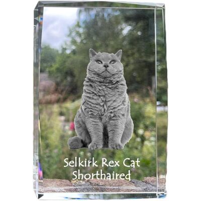 Kot Selkirk Rex krótkowłosy - kryształ ze zdjęciem kota, zdjęcie w szkle, nowoczesna ekspozycja zdjęcia marki Art-Dog Kot Selkirk Rex krótkowłosy - kryształ ze zdjęciem kota, zdjęcie w szkle, nowoczesna ekspozycja zdjęcia marki Art-Dog