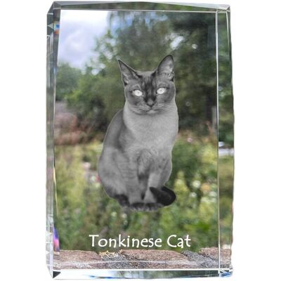 Kot tonkijski - kryształ ze zdjęciem kota, zdjęcie w szkle, nowoczesna ekspozycja zdjęcia marki Art-Dog Kot tonkijski - kryształ ze zdjęciem kota, zdjęcie w szkle, nowoczesna ekspozycja zdjęcia marki Art-Dog