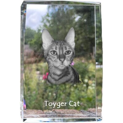 Kot toyger - kryształ ze zdjęciem kota, zdjęcie w szkle, nowoczesna ekspozycja zdjęcia marki Art-Dog Kot toyger - kryształ ze zdjęciem kota, zdjęcie w szkle, nowoczesna ekspozycja zdjęcia marki Art-Dog