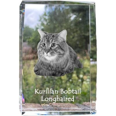 Kurylski bobtail długowłosy - kryształ ze zdjęciem kota, zdjęcie w szkle, nowoczesna ekspozycja zdjęcia marki Art-Dog Kurylski bobtail długowłosy - kryształ ze zdjęciem kota, zdjęcie w szkle, nowoczesna ekspozycja zdjęcia marki Art-Dog