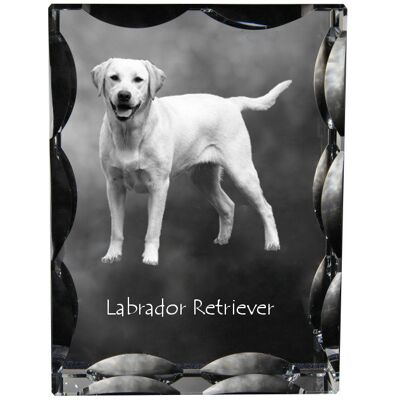 Labrador Retriever I - kryształ ze zdjęciem psa, szklana statuetka ze zdjęciem, wyjątkowa ramka ze zdjęciem marki Art-Dog Labrador Retriever I - kryształ ze zdjęciem psa, szklana statuetka ze zdjęciem, wyjątkowa ramka ze zdjęciem marki Art-Dog