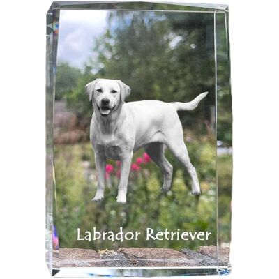 Labrador Retriever I - kryształ ze zdjęciem psa, zdjęcie w szkle, nowoczesna ekspozycja zdjęcia marki Art-Dog Labrador Retriever I - kryształ ze zdjęciem psa, zdjęcie w szkle, nowoczesna ekspozycja zdjęcia marki Art-Dog