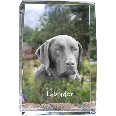 Labrador Retriever - kryształ ze zdjęciem psa, zdjęcie w szkle, nowoczesna ekspozycja zdjęcia marki Art-Dog Labrador Retriever - kryształ ze zdjęciem psa, zdjęcie w szkle, nowoczesna ekspozycja zdjęcia marki Art-Dog