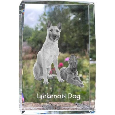Laekenois Owczarek belgijski - kryształ ze zdjęciem psa, zdjęcie w szkle, nowoczesna ekspozycja zdjęcia marki Art-Dog Laekenois Owczarek belgijski - kryształ ze zdjęciem psa, zdjęcie w szkle, nowoczesna ekspozycja zdjęcia marki Art-Dog