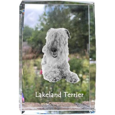 Lakeland Terrier - kryształ ze zdjęciem psa, zdjęcie w szkle, nowoczesna ekspozycja zdjęcia marki Art-Dog Lakeland Terrier - kryształ ze zdjęciem psa, zdjęcie w szkle, nowoczesna ekspozycja zdjęcia marki Art-Dog