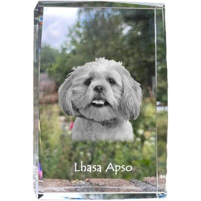 Lhasa Apso - kryształ ze zdjęciem psa, zdjęcie w szkle, nowoczesna ekspozycja zdjęcia marki Art-Dog Lhasa Apso - kryształ ze zdjęciem psa, zdjęcie w szkle, nowoczesna ekspozycja zdjęcia marki Art-Dog