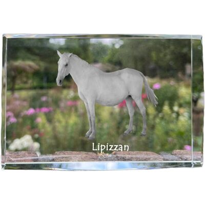 Lipicański - kryształ ze zdjęciem konia, zdjęcie w szkle, nowoczesna ekspozycja zdjęcia marki Art-Dog Lipicański - kryształ ze zdjęciem konia, zdjęcie w szkle, nowoczesna ekspozycja zdjęcia marki Art-Dog