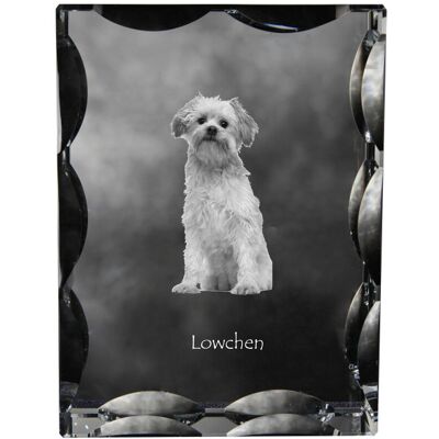 Lwi piesek, Lowchen - kryształ ze zdjęciem psa, szklana statuetka ze zdjęciem, wyjątkowa ramka ze zdjęciem marki Art-Dog Lwi piesek, Lowchen - kryształ ze zdjęciem psa, szklana statuetka ze zdjęciem, wyjątkowa ramka ze zdjęciem marki Art-Dog
