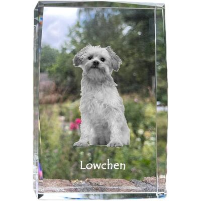 Lwi piesek, Lowchen - kryształ ze zdjęciem psa, zdjęcie w szkle, nowoczesna ekspozycja zdjęcia marki Art-Dog Lwi piesek, Lowchen - kryształ ze zdjęciem psa, zdjęcie w szkle, nowoczesna ekspozycja zdjęcia marki Art-Dog