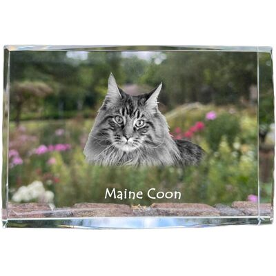 Maine Coon - kryształ ze zdjęciem kota, zdjęcie w szkle, nowoczesna ekspozycja zdjęcia marki Art-Dog Maine Coon - kryształ ze zdjęciem kota, zdjęcie w szkle, nowoczesna ekspozycja zdjęcia marki Art-Dog