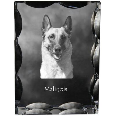 Malinois Owczarek belgijski - kryształ ze zdjęciem psa, szklana statuetka ze zdjęciem, wyjątkowa ramka ze zdjęciem marki Art-Dog Malinois Owczarek belgijski - kryształ ze zdjęciem psa, szklana statuetka ze zdjęciem, wyjątkowa ramka ze zdjęciem marki Art-Dog