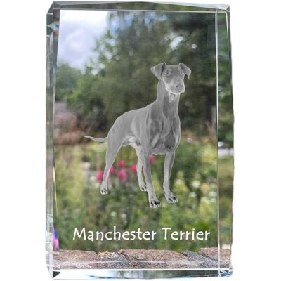 Manchester Terrier - kryształ ze zdjęciem psa, zdjęcie w szkle, nowoczesna ekspozycja zdjęcia marki Art-Dog Manchester Terrier - kryształ ze zdjęciem psa, zdjęcie w szkle, nowoczesna ekspozycja zdjęcia marki Art-Dog