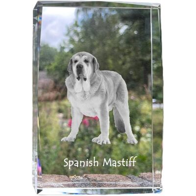 Mastif hiszpański - kryształ ze zdjęciem psa, zdjęcie w szkle, nowoczesna ekspozycja zdjęcia marki Art-Dog Mastif hiszpański - kryształ ze zdjęciem psa, zdjęcie w szkle, nowoczesna ekspozycja zdjęcia marki Art-Dog