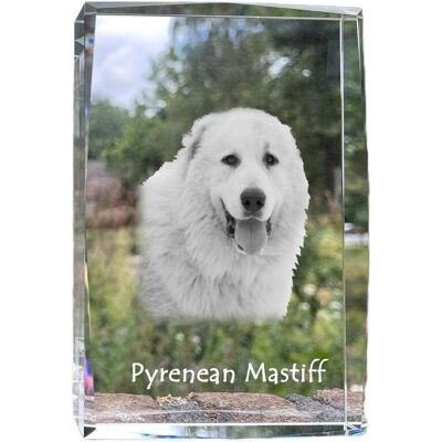 Mastif pirenejski - kryształ ze zdjęciem psa, zdjęcie w szkle, nowoczesna ekspozycja zdjęcia marki Art-Dog Mastif pirenejski - kryształ ze zdjęciem psa, zdjęcie w szkle, nowoczesna ekspozycja zdjęcia marki Art-Dog