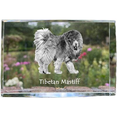 Mastif tybetański, Dog tybetański - kryształ ze zdjęciem psa, zdjęcie w szkle, nowoczesna ekspozycja zdjęcia marki Art-Dog Mastif tybetański, Dog tybetański - kryształ ze zdjęciem psa, zdjęcie w szkle, nowoczesna ekspozycja zdjęcia marki Art-Dog