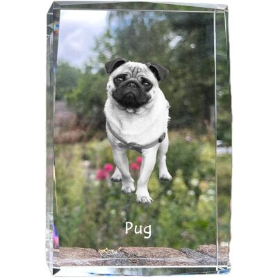Mops, Pug, Carlin - kryształ ze zdjęciem psa, zdjęcie w szkle, nowoczesna ekspozycja zdjęcia marki Art-Dog Mops, Pug, Carlin - kryształ ze zdjęciem psa, zdjęcie w szkle, nowoczesna ekspozycja zdjęcia marki Art-Dog