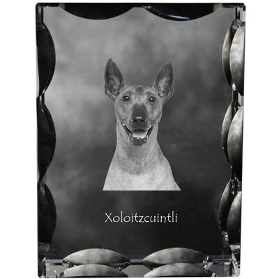 ART Nagi pies meksykański, Bezwłosy pies Azteków, Xoloitzquintle - kryształ ze zdjęciem psa, szklana statuetka ze zdjęciem, wyjątkowa ramka ze zdjęciem .. ART Nagi pies meksykański, Bezwłosy pies Azteków, Xoloitzquintle - kryształ ze zdjęciem psa, szklana statuetka ze zdjęciem, wyjątkowa ramka ze zdjęciem ..