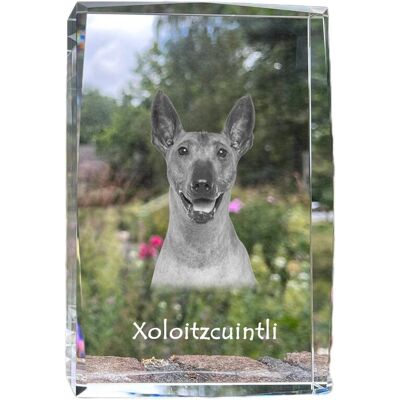 Nagi pies meksykański, Bezwłosy pies Azteków, Xoloitzquintle - kryształ ze zdjęciem psa, zdjęcie w szkle, nowoczesna ekspozycja zdjęcia marki Art-Dog Nagi pies meksykański, Bezwłosy pies Azteków, Xoloitzquintle - kryształ ze zdjęciem psa, zdjęcie w szkle, nowoczesna ekspozycja zdjęcia marki Art-Dog