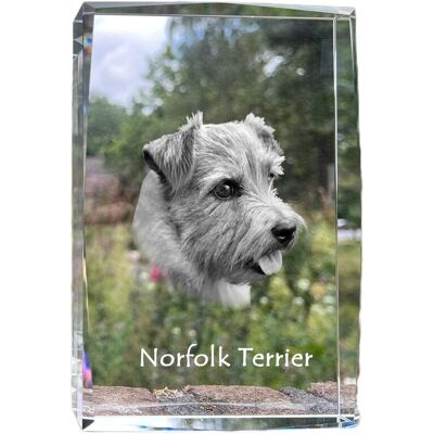 Norfolk Terrier - kryształ ze zdjęciem psa, zdjęcie w szkle, nowoczesna ekspozycja zdjęcia marki Art-Dog Norfolk Terrier - kryształ ze zdjęciem psa, zdjęcie w szkle, nowoczesna ekspozycja zdjęcia marki Art-Dog