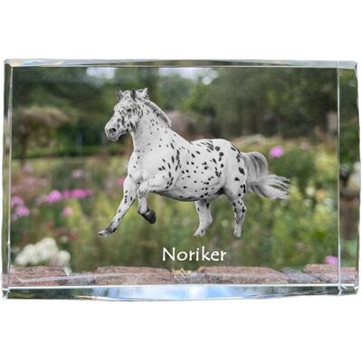 Noriker - kryształ ze zdjęciem konia, zdjęcie w szkle, nowoczesna ekspozycja zdjęcia marki Art-Dog Noriker - kryształ ze zdjęciem konia, zdjęcie w szkle, nowoczesna ekspozycja zdjęcia marki Art-Dog